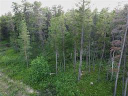 50 James Drive, Molson, MB R0E1X0 Photo 6