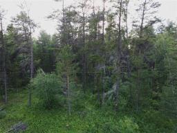 50 James Drive, Molson, MB R0E1X0 Photo 9