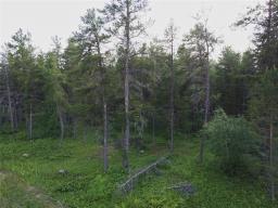 50 James Drive, Molson, MB R0E1X0 Photo 10