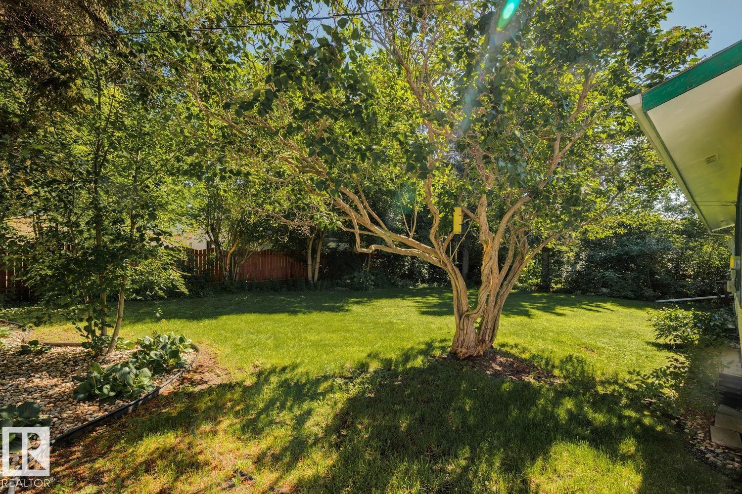149 COTTONWOOD AV — photo 37