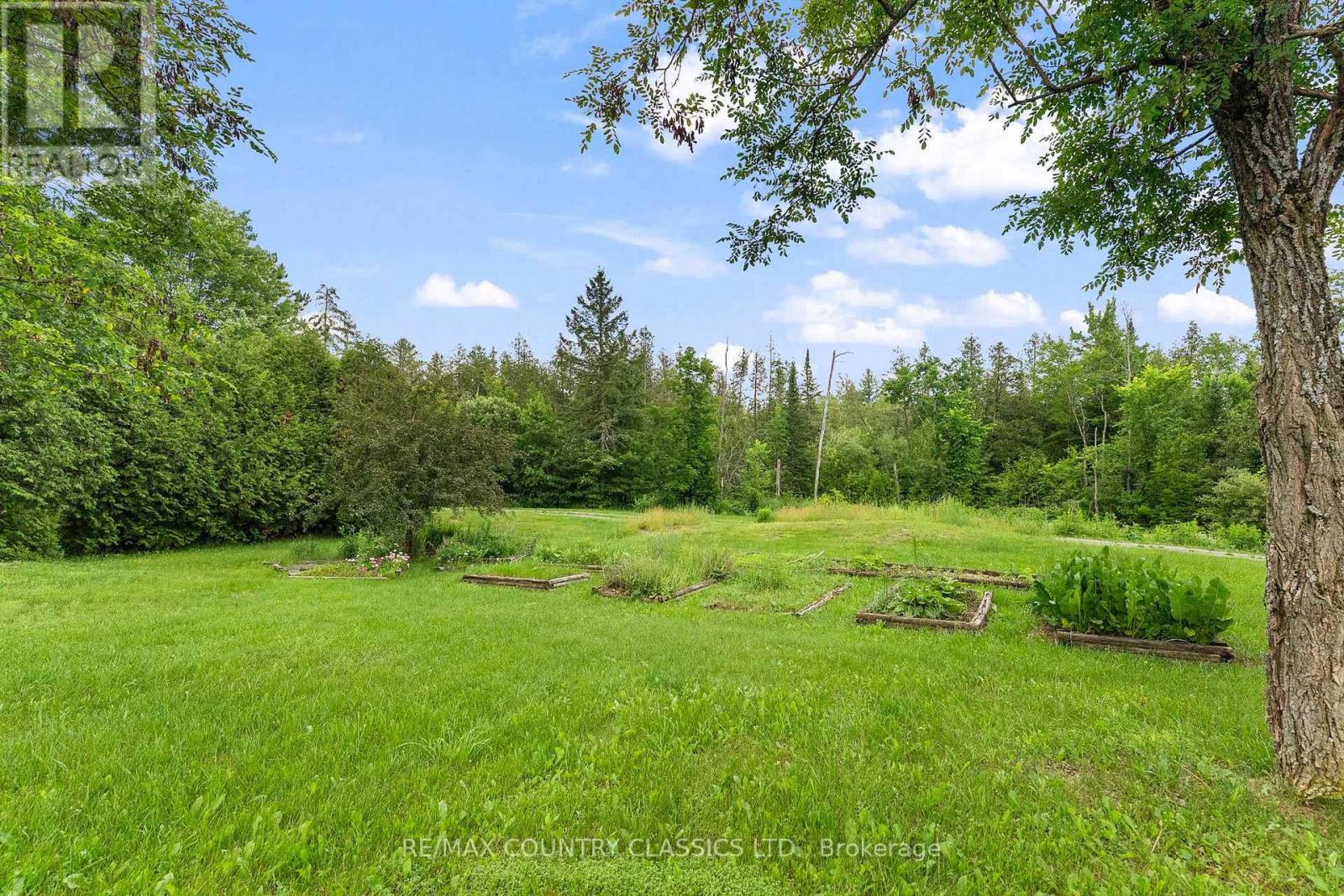 4587 OLD HASTINGS ROAD - 36