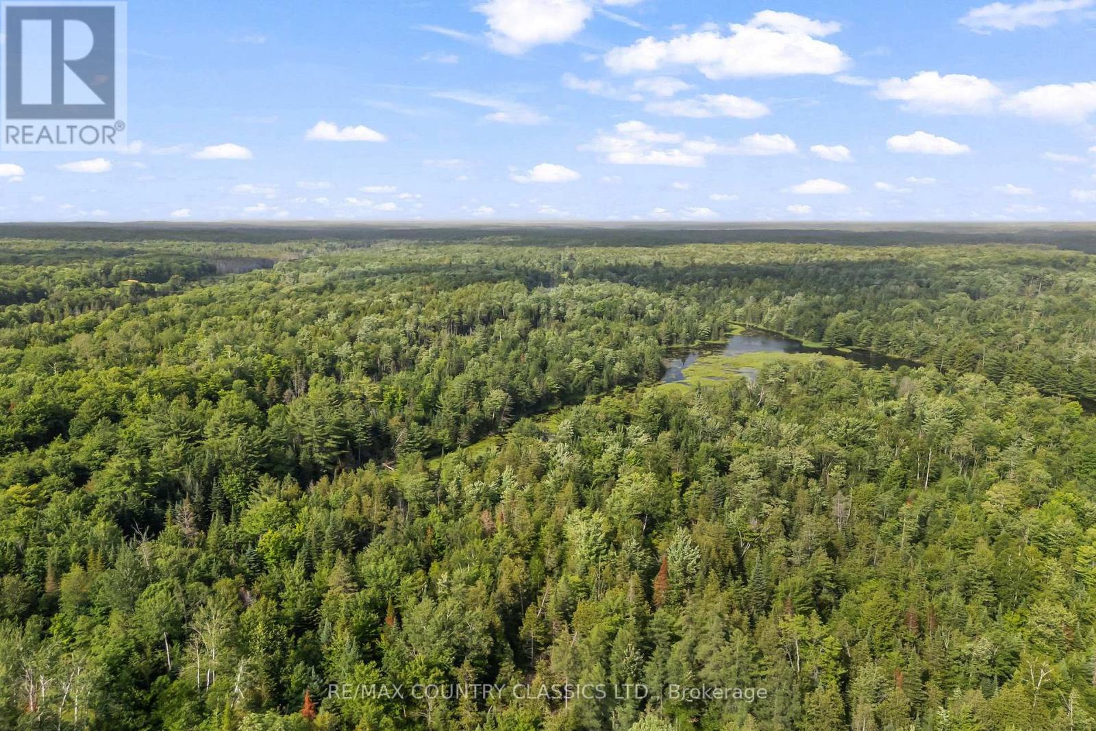 4587 OLD HASTINGS ROAD - 41