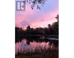 101 Chain Of Lakes Road, Seguin, ON P2A0B6 Photo 12