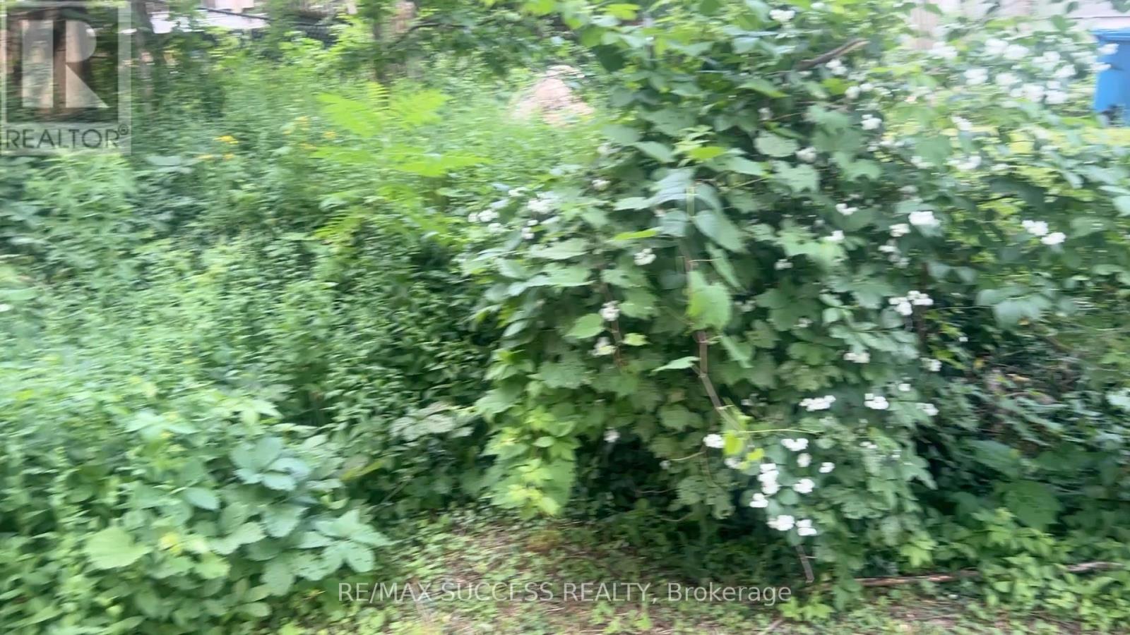 243 HARVEY STREET W - 10