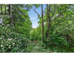 121 Saint Lucie Drive, Toronto, ON M9M1T4 Photo 50