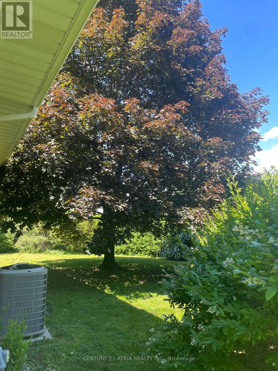 4 WINESAP PLACE - 31