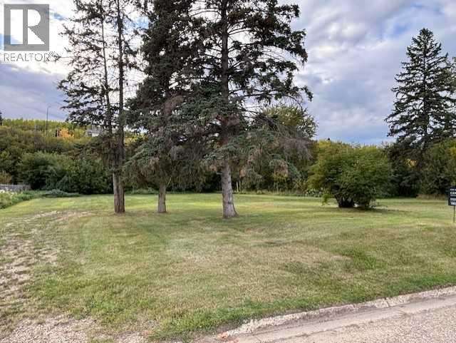 10702 90 Street, Peace River — photo 2