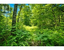 1883 Forest Lake Drive, Joly, ON P0A1Z0 Photo 44