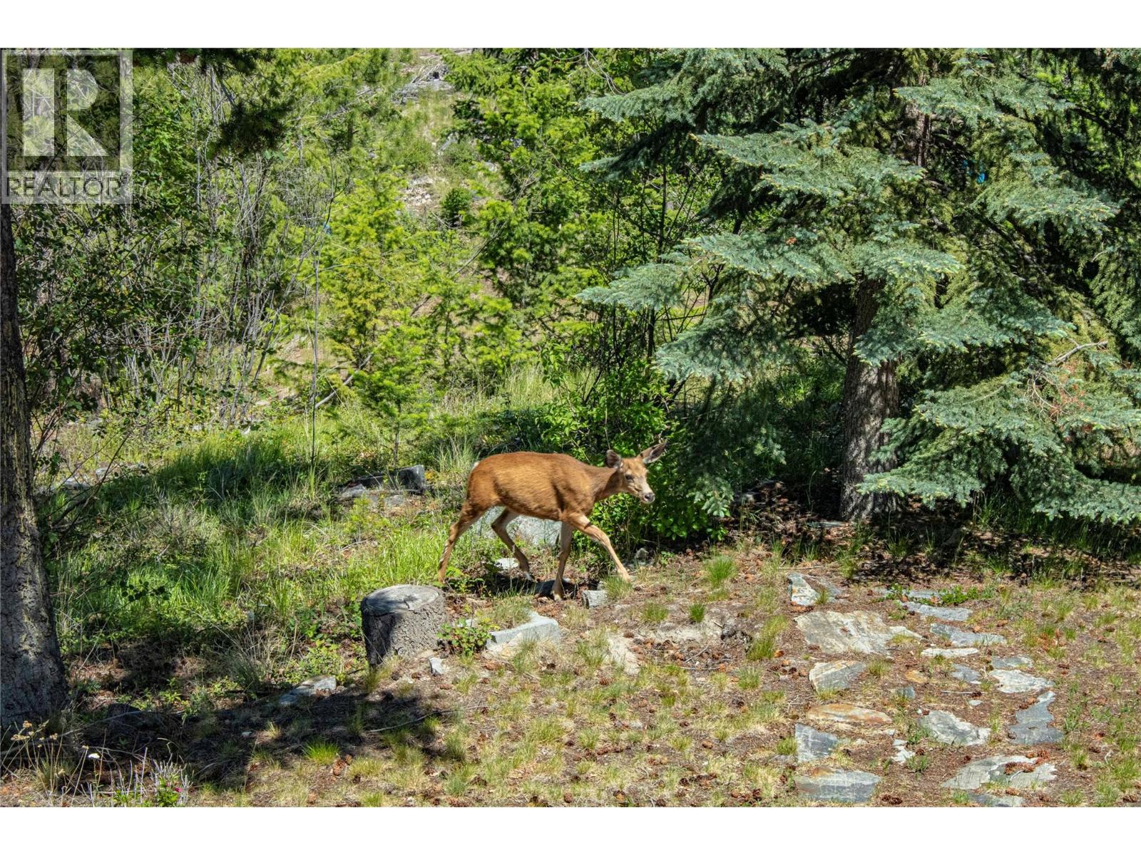 2263 Carmi Road - 49
