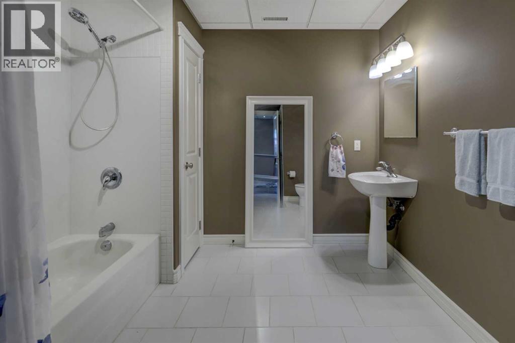Lower level bathroom