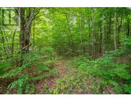 3016 118 Highway, Bracebridge, ON P1L1X1 Photo 37