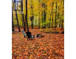 51a Thompson Lane, Rideau Lakes, ON K0G1P0 Photo 17
