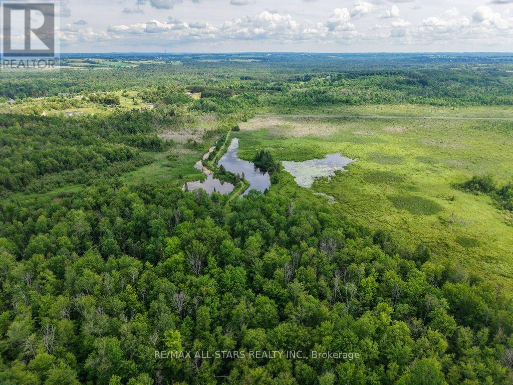9388 RAVENSHOE ROAD - Image 48