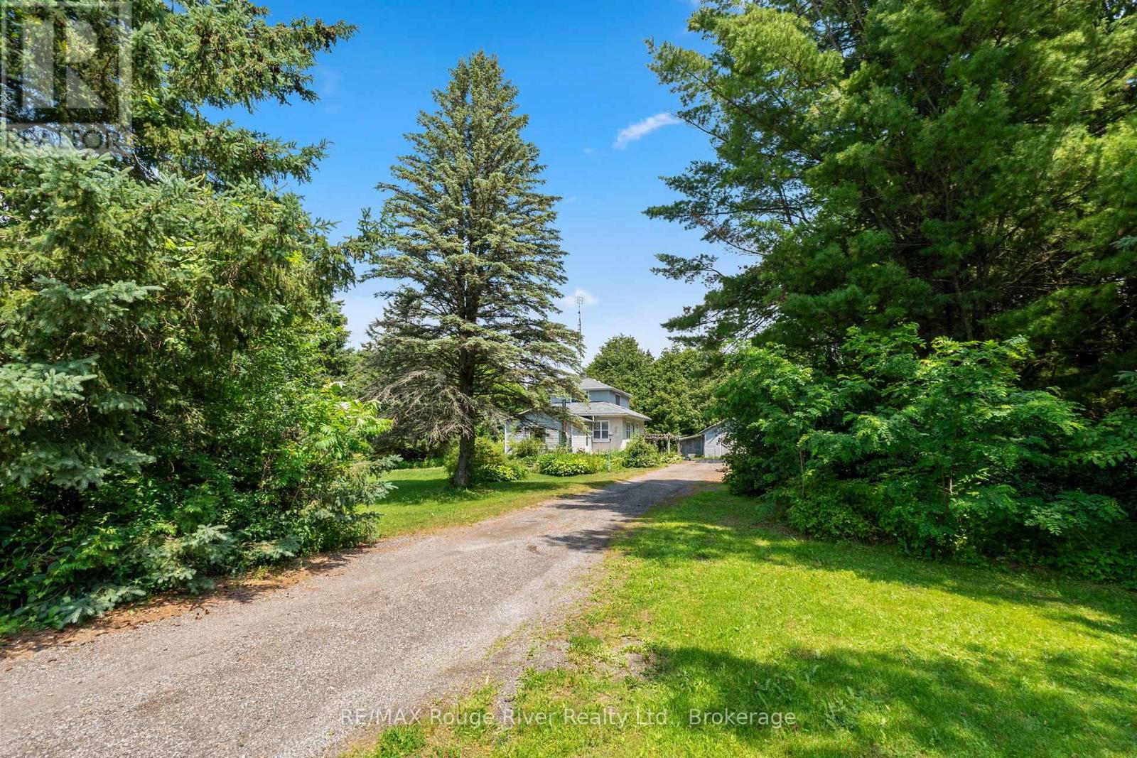 7725 MILL STREET - 31
