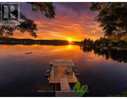 7313 534 Highway, Parry Sound Remote Area, ON P0H2R0 Photo 48