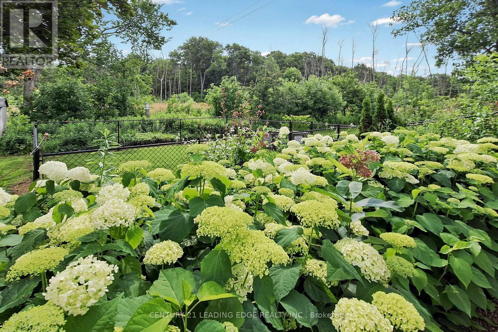 134 C MUDCAT ROAD - 13