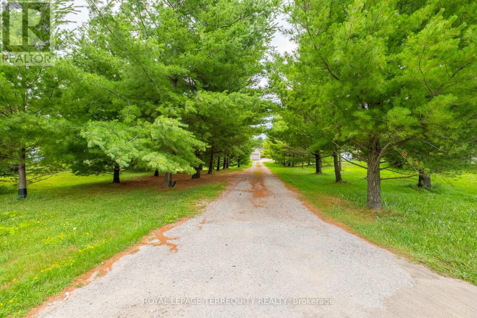 1041 15 SIDE ROAD - 5