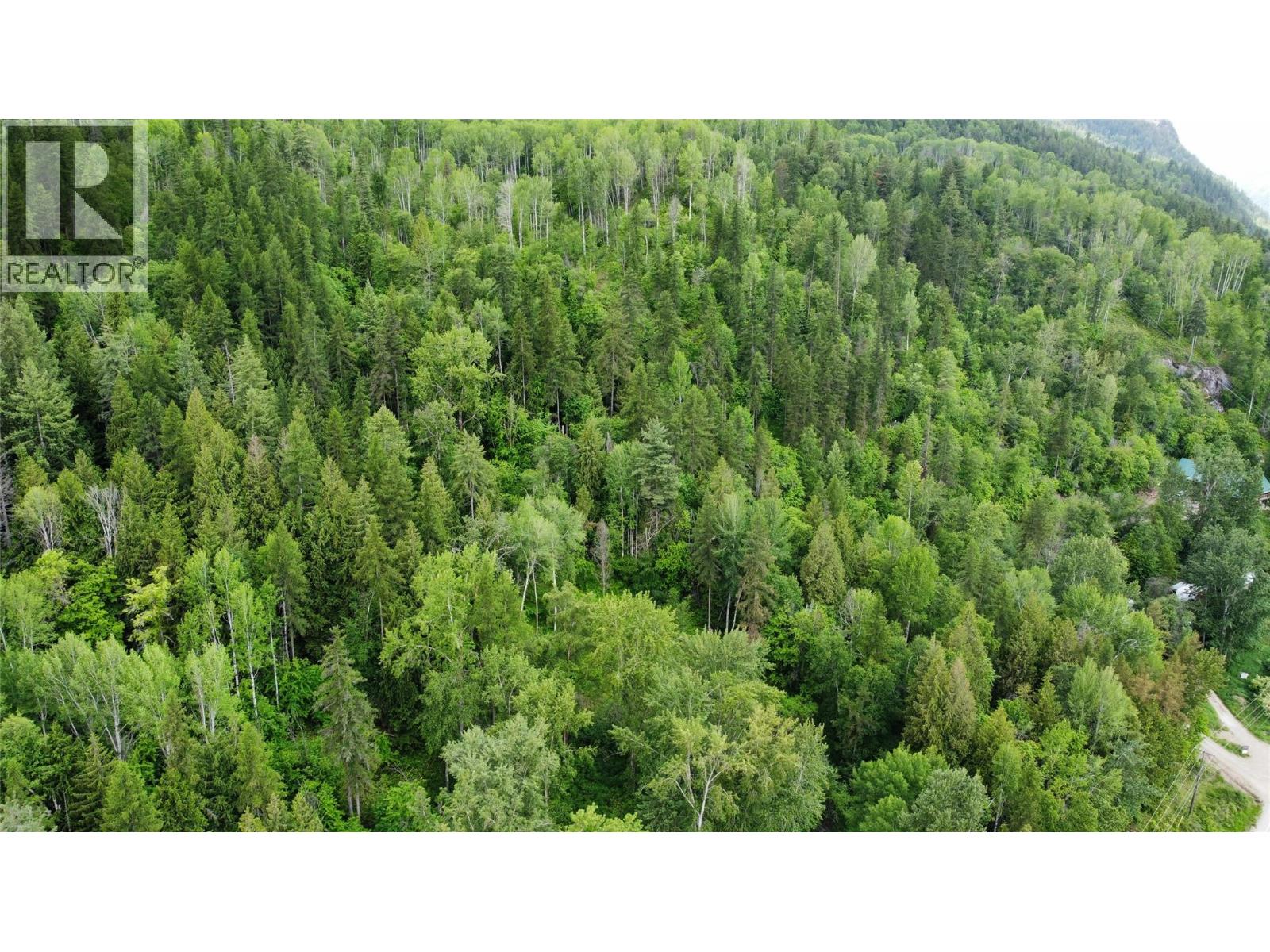  Lot 1 - 9 Arrow Lakes Drive, Castlegar