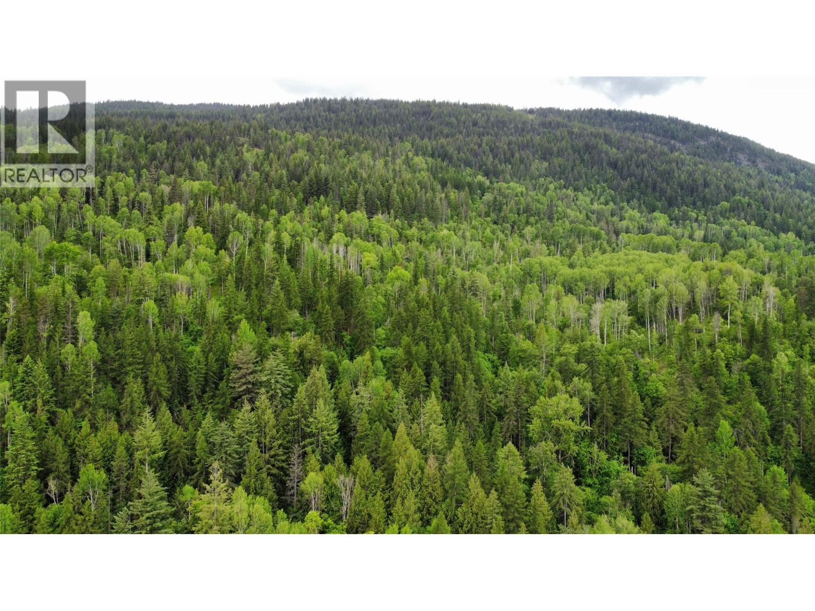  Lot 1 - 9 Arrow Lakes Drive, Castlegar