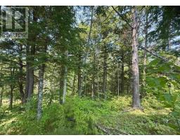 Lot 18 Redbird Drive, Malagawatch, NS B0E2Y0 Photo 10