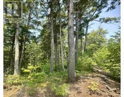 Lot 18 Redbird Drive, Malagawatch, NS B0E2Y0 Photo 7