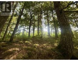 Lot 18 Redbird Drive, Malagawatch, NS B0E2Y0 Photo 8