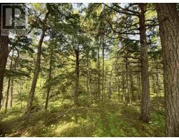 Lot 18 Redbird Drive, Malagawatch, NS B0E2Y0 Photo 9