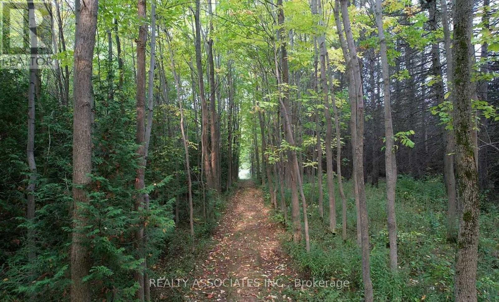486289 30TH SIDE ROAD - 50