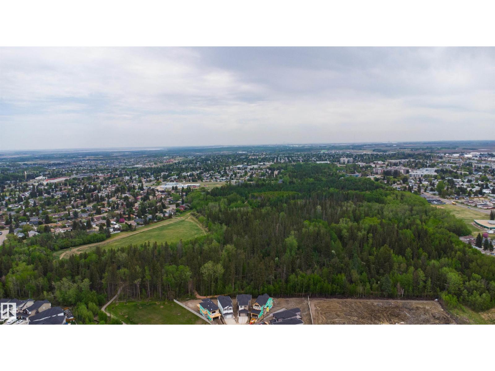 45 MEADOWGROVE LN - 37