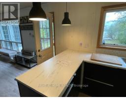1529 Chief Joseph Snake Road, Georgina Islands, ON L0E1R0 Photo 32