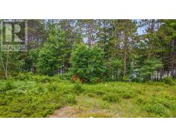 Lot 48 Lakeview Parkway, Madawaska Valley, ON K0J1B0 Photo 7
