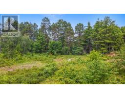 Lot 48 Lakeview Parkway, Madawaska Valley, ON K0J1B0 Photo 8