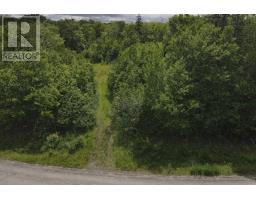 Lot 2 Coxheath Road, Northside East Bay, NS B1J1L8 Photo 11