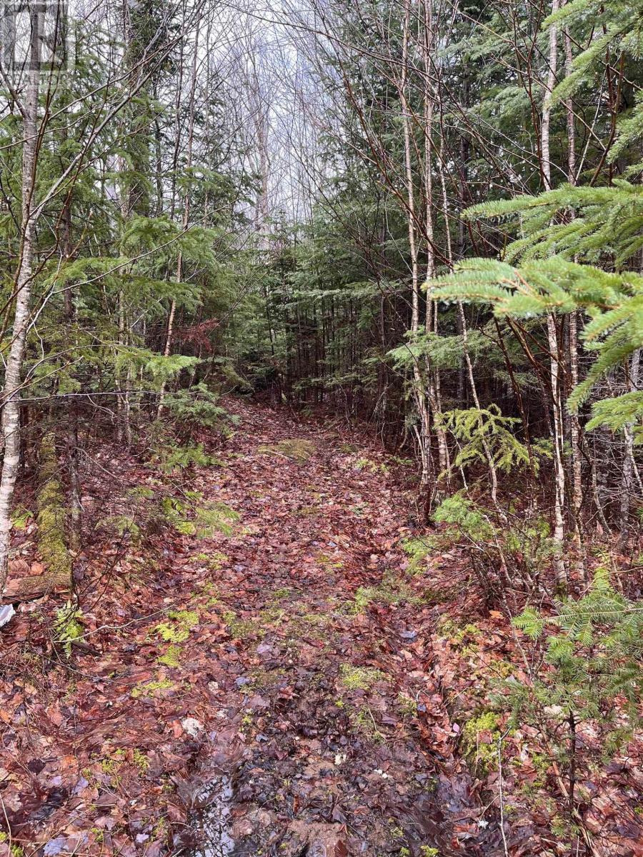 Property 4 of 15 of Lot 2 Coxheath Road