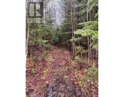 Lot 2 Coxheath Road, Northside East Bay, NS B1J1L8 Photo 9