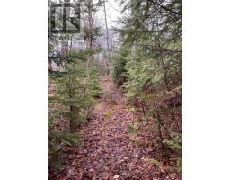 Lot 2 Coxheath Road, Northside East Bay, NS B1J1L8 Photo 8