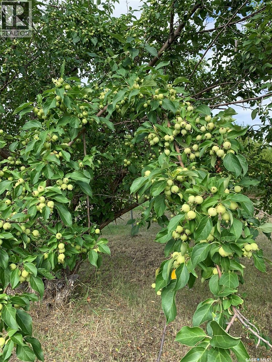 Davis Acreage - Image 68