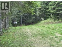 35 Ch Rang 7 Et 8, Kedgwick, NB E8B1V8 Photo 11