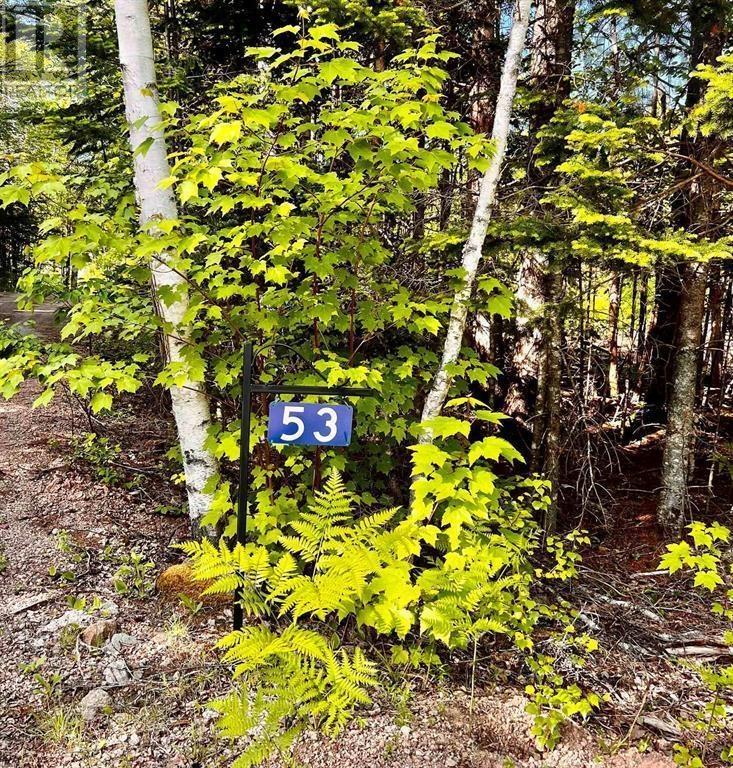 53 Larch Lane - 3