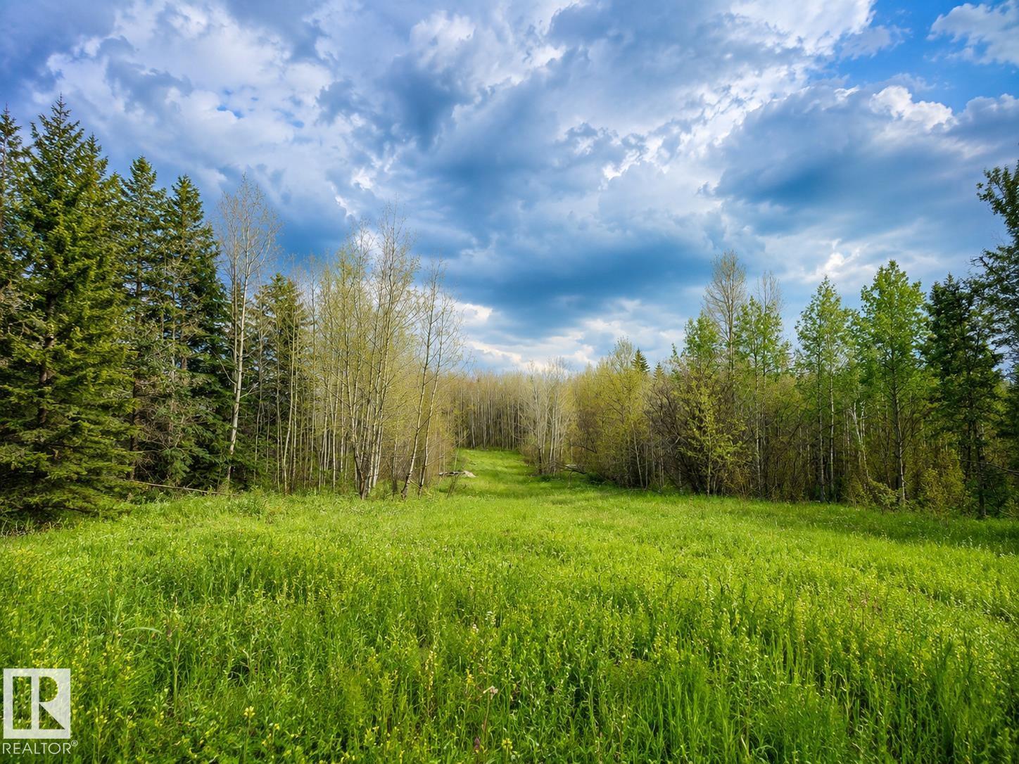 5115 TWP ROAD 490A - Photo 5