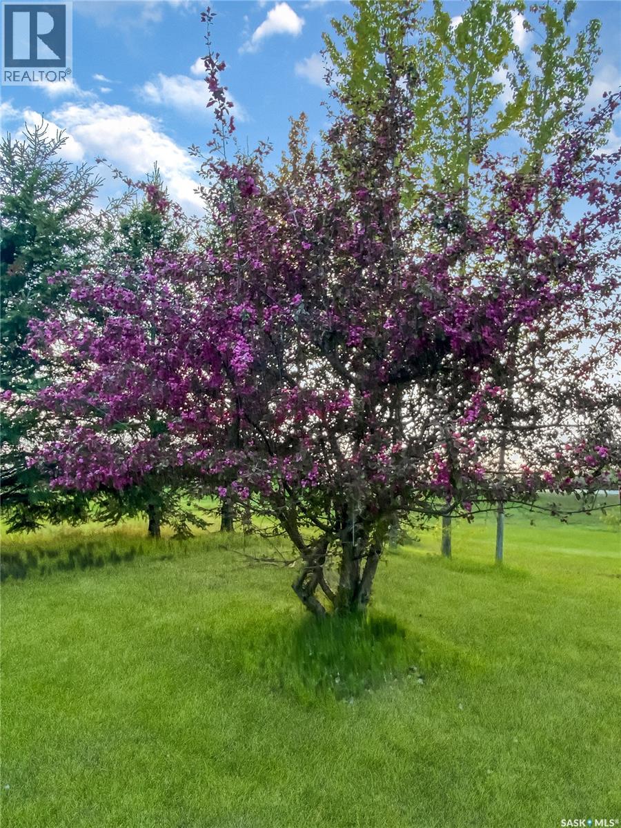 Isbister Acres - 12