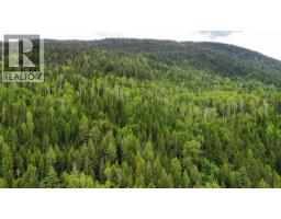 Arrow Lake 10 Lot Package Arrow Lakes Drive, Castlegar, BC V1N3N3 Photo 6