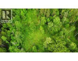 Arrow Lake 10 Lot Package Arrow Lakes Drive, Castlegar, BC V1N3N3 Photo 9