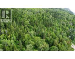 Arrow Lake 10 Lot Package Arrow Lakes Drive, Castlegar, BC V1N3N3 Photo 7