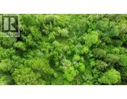 Arrow Lake 10 Lot Package Arrow Lakes Drive, Castlegar, BC V1N3N3 Photo 8