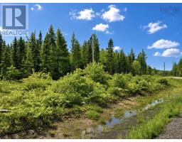 0 Big Farm Road, Baddeck Area, NS B0E1B0 Photo 11