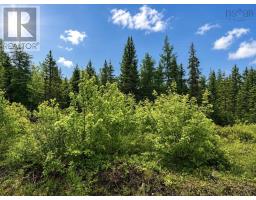 0 Big Farm Road, Baddeck Area, NS B0E1B0 Photo 7