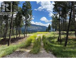 2140 22nd Street, Invermere, BC V0A1K4 Photo 7