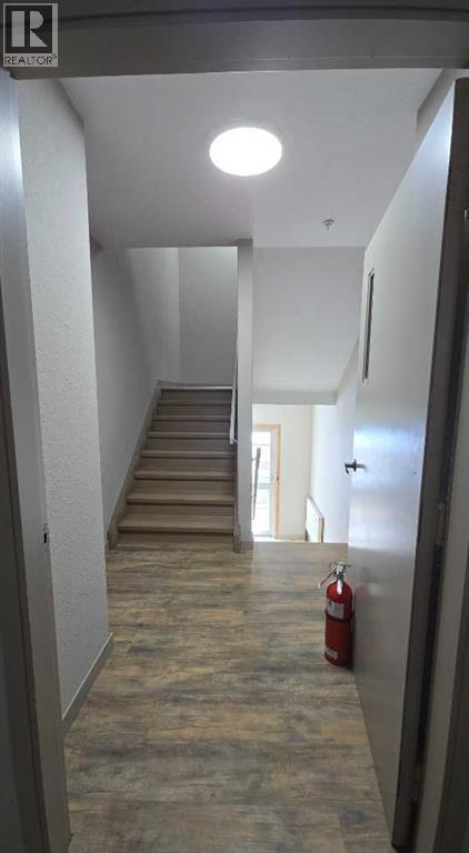 #203 9508 99 street - 22