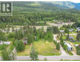 Lot 1 Malakwa Road, Malakwa, BC V0E2J0 Photo 10